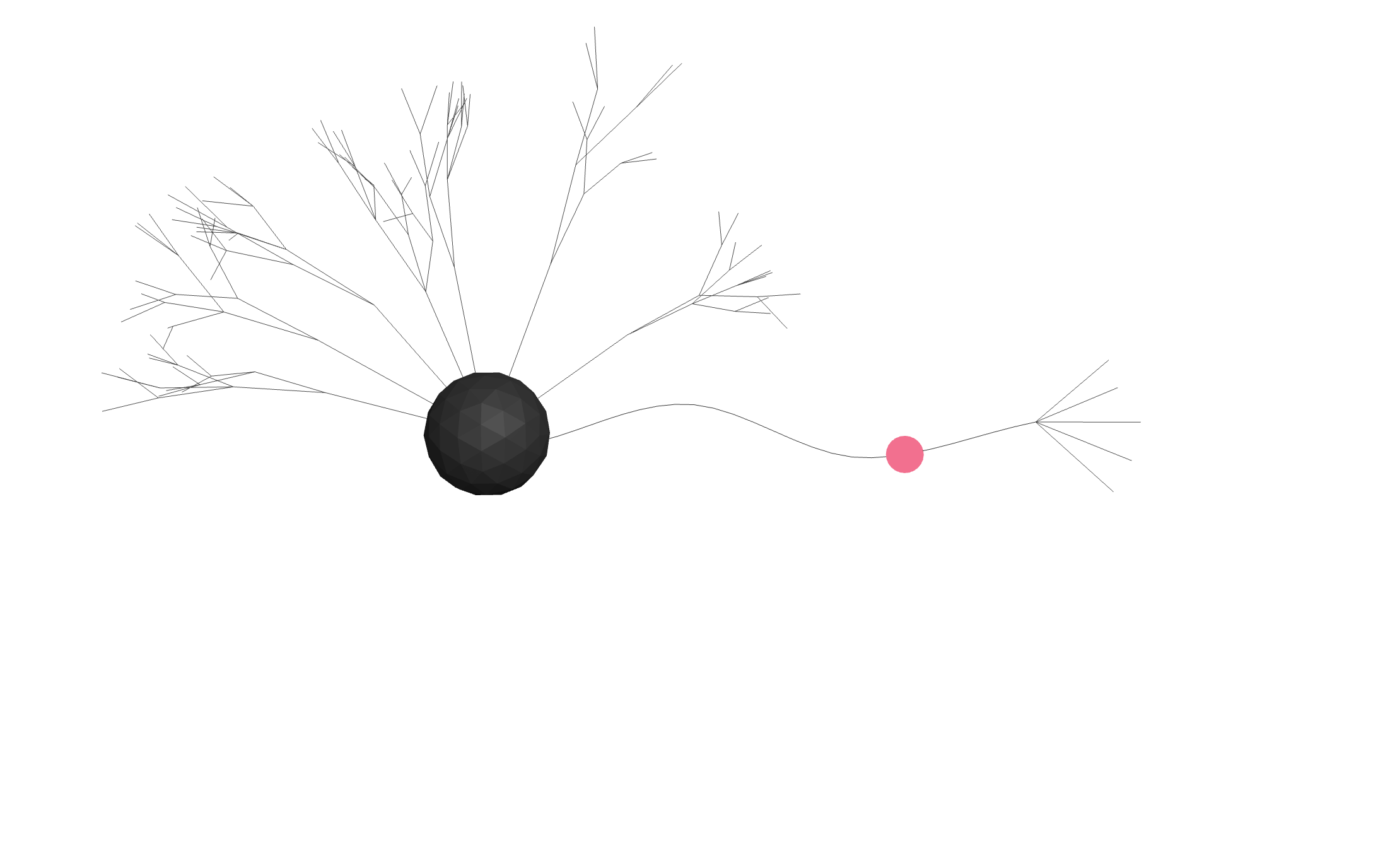 A single neuron, its dendrites branching on one side and an axon leaving the other.